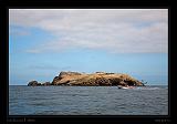 Ballestas Islands 051